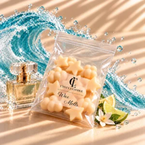 Wax Melts Zanzibar Type